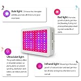 Esbaybulbs B075WTL41R lato 4