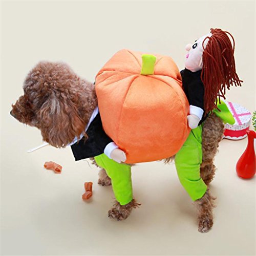 Disfraz de Calabaza para Perro Talla S Halloween miniatura 2