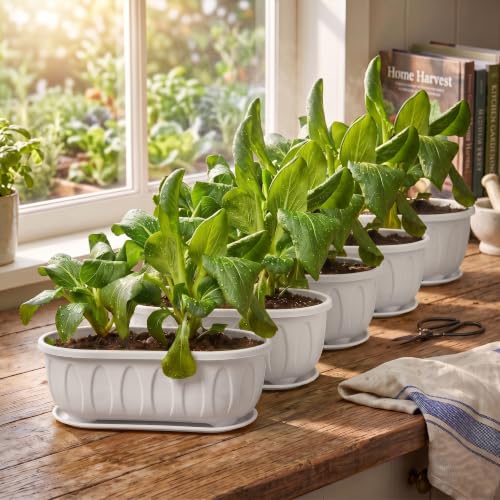 Image of Plastic Rectangle Round Corner Flower Pots with Drainage Hole Saucers Durable Outdoor Indoor Planters with Tray Plant Containers for Balcony, Garden, Home & Office (White, 5)