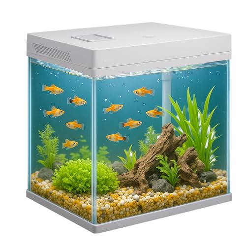 VIALIA Panorama Aquarium Komplettset 10L | Nano Becken mit LED Beleuchtung & Filter | 360° Sicht für Zierfische | Maße 25x26x18cm | Integrierte Futterklappe | Kompakt für Einsteiger & Büro