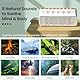White Noise Machine | Shiawase Sounds of Nature Box | Tragbare Schlaf-Sound-Maschine Baby Erwachsene | 8 Naturgeräusche Mixer-Optionen Bluetooth-Lautsprecher | Schlafen Büro Yoga (weiß/Holzmaserung)