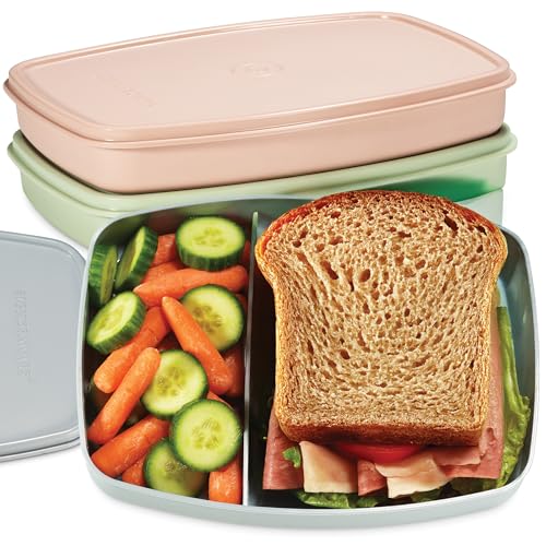 Image of Signoraware Slim BPA Free Plastic Lunch Box (610ml x 3 | Setof3 | Multicolor)