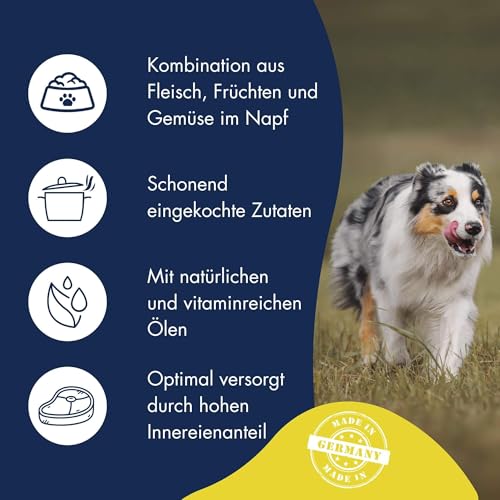 DR.CLAUDER'S - B.A.R.F. Komplett Menue Hühnerfrikassee | Fleischeintopf mit 100% Muskelfleisch, Innereien und Gemüse für ausgewachsene Hunde. Alleinfutter in der Dose | 800g Huhn