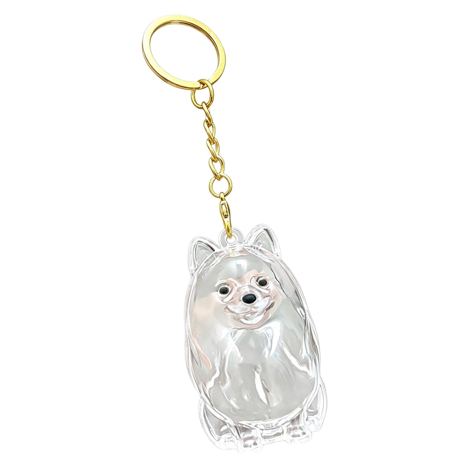 Memorial Dog Keyring, Dog Fur Keepsake, Transparent Cute Dog Hair Keepsakes, Abs Material Pet Hair Keyrings for Pet Owners, Dogs Lovers to Preserve Cherished Memories (A)