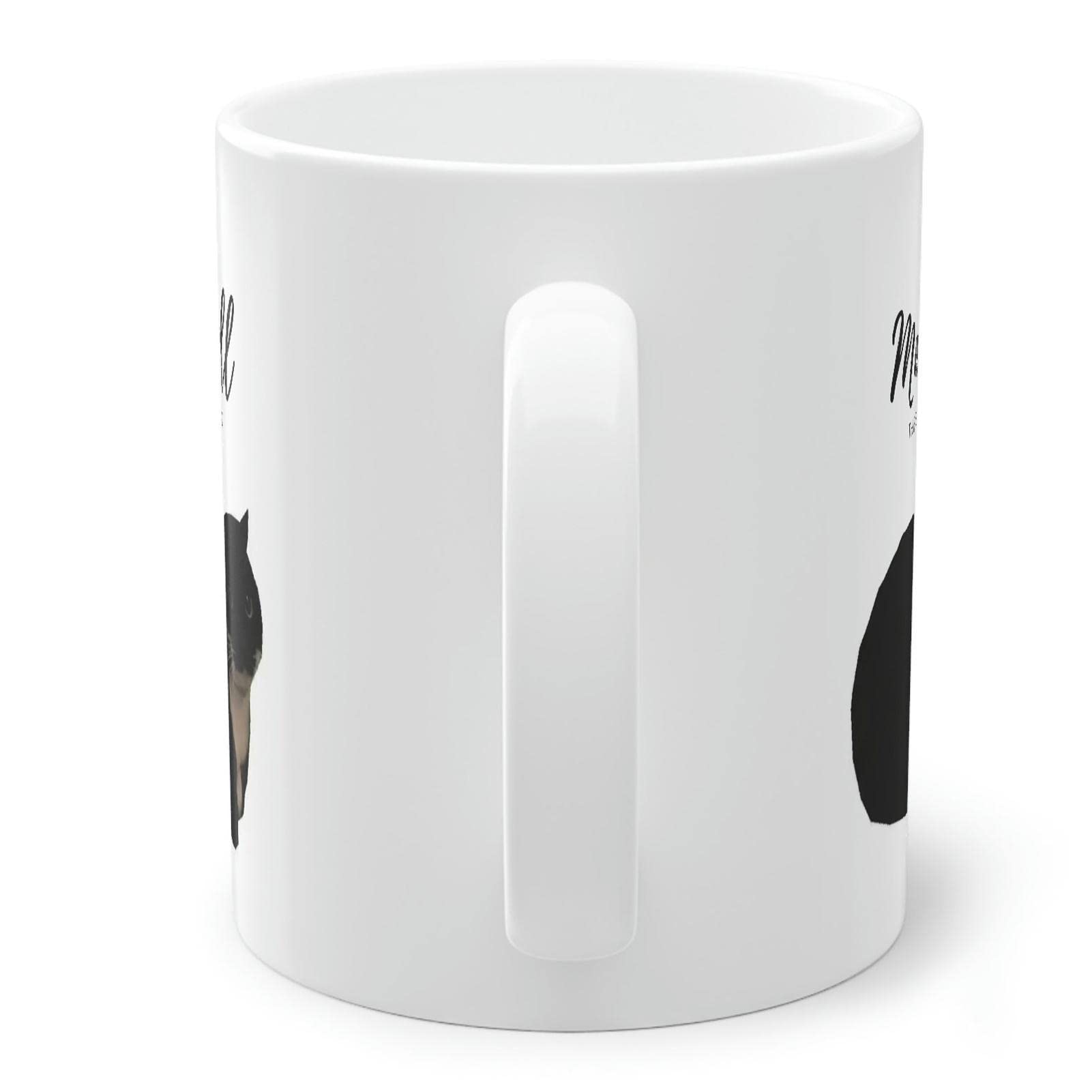 MUGKISS Tazza da caffè con gatto che cambia colore, 311.8 g, The Fish is Delicious,Tazza da caffè con coperchio nero e cucchiaio, regalo di compleanno per bambini, donne e uomini