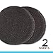 Fluval FX Carbon Foam, Replacement Aquarium Filter Media, 2-Pack, A249,White