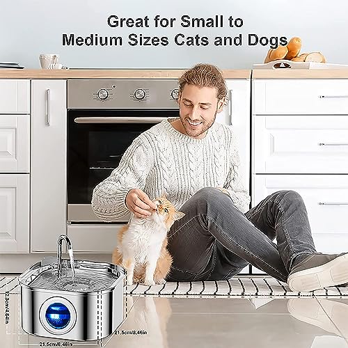 Image of Beauenty Cat Water Fountain,Stainless Steel Pet Fountain with Quiet Pump,3.2L /108oz Large Capacity Pet Water Dispenser Suitable for Indoor Use (Style)