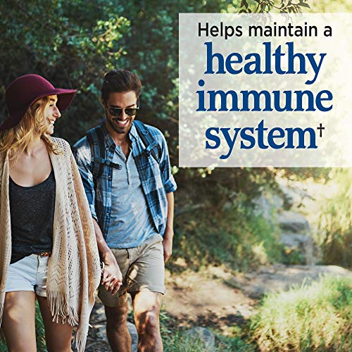 Image of Garden of Life Whole Food Probiotic Supplement - Primal Defense HSO Probiotic Dietary Supplement for Digestive and Gut Health, 2.85oz (81g) Vegetarian Powder