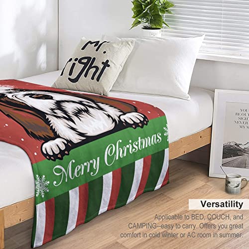 Couverture pour chien Noël cadeau idéal plaid réversible doux chaud pour petits et grands