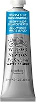 Vista 568 de Winsor & Newton - Pintura para acuarela profesional