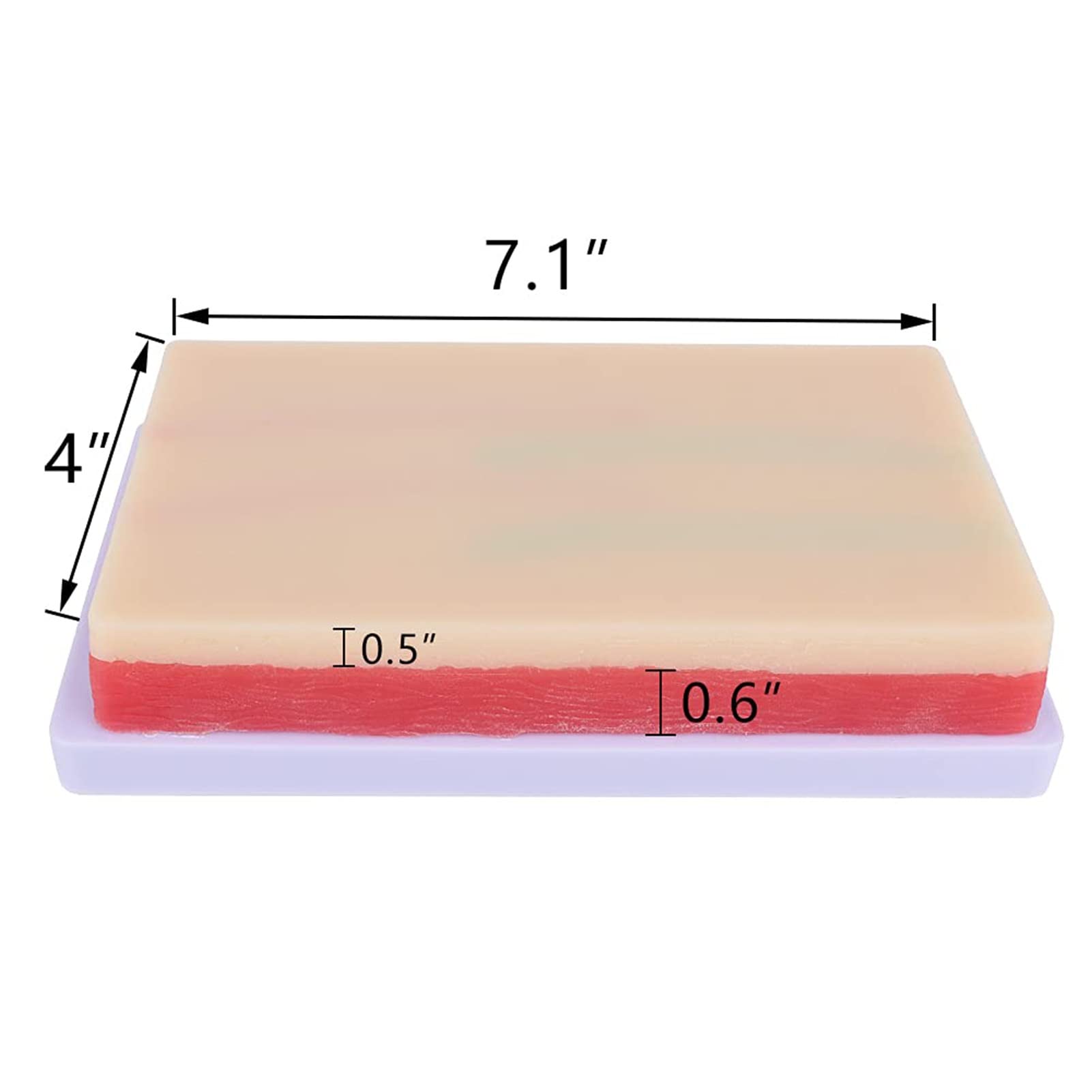 Kit de Formation IV, Kit de Pratique de Phlébotomie, Coussin D' entraînement pour Injection de Ponction Veineuse IV Kit de Démarrage Kit D' entraînement À La Prise de Sang pour La Formation Médicale