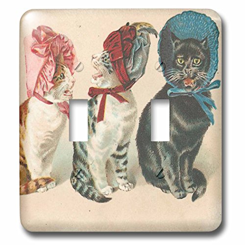 Interrupteur à bascule double chat double commande lumineuse multicolore 3dRose