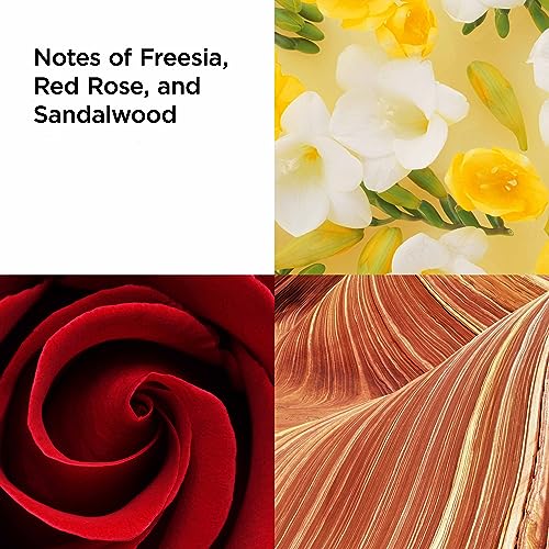 Elizabeth Arden RED DOOR Eau de Toilette, 30ml, 3-piece Gift Set, fragrance gifting for women - Image 5