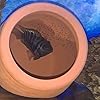 Product Photo 6