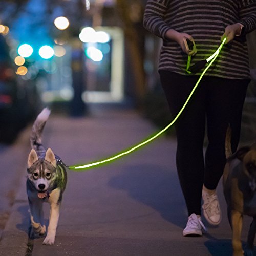 NiteyLeash - LED Glow in The Dark Pet Dog Leash (Green)