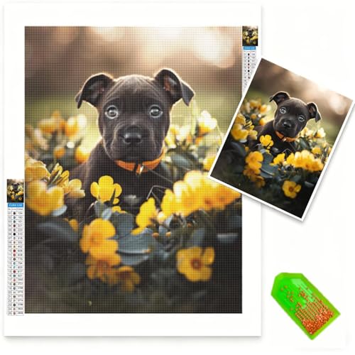 Broderie Diamant Peinture Kit Full Drill : Diamond Painting Personnalisé Photo 50x70
