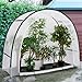 IDMarket - Halbmond-Gewächshaus 200 x 80 x 170 cm, Balkon und Terrasse