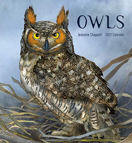 Owls- Jeannine Chappell 2022 Wall Calendar