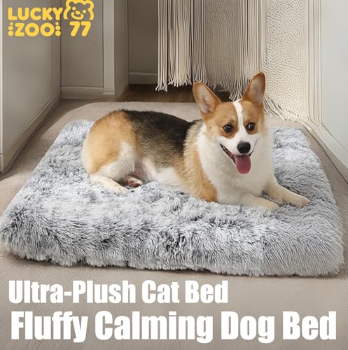 LuckyZoo77 Hundebett Waschbar 50x40cm – Flauschiges Hundekissen mit weicher Polsterung, rutschfest, für kleine Hunde & Katzen, Ombré-Grau