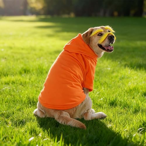 Disfraz para perro con pack 3 mostachos amarillos 6XL miniatura 4
