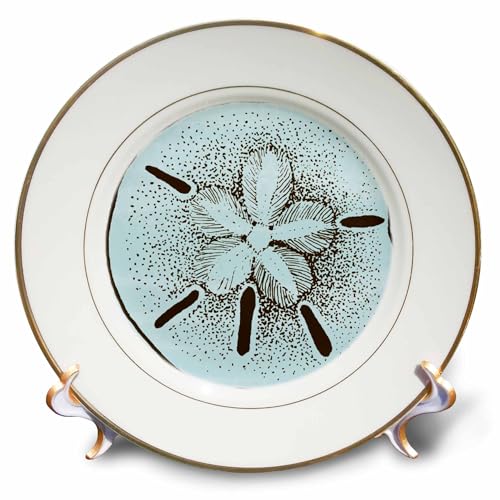 3dRose cp_99317_1 Blue and Brown Sand Dollar- Shells- Beach Theme Art Porcelain Plate, 8