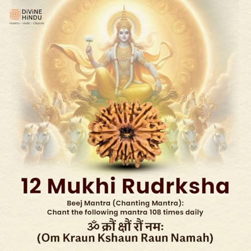 Image of Divine Hindu Original 12 Mukhi Nepali Rudraksha Lab Certified -Twelve Face Bead Blessed by Lord Surya for Leadership & Authority | Energized Sun God Pendant for Success & Self Confidence