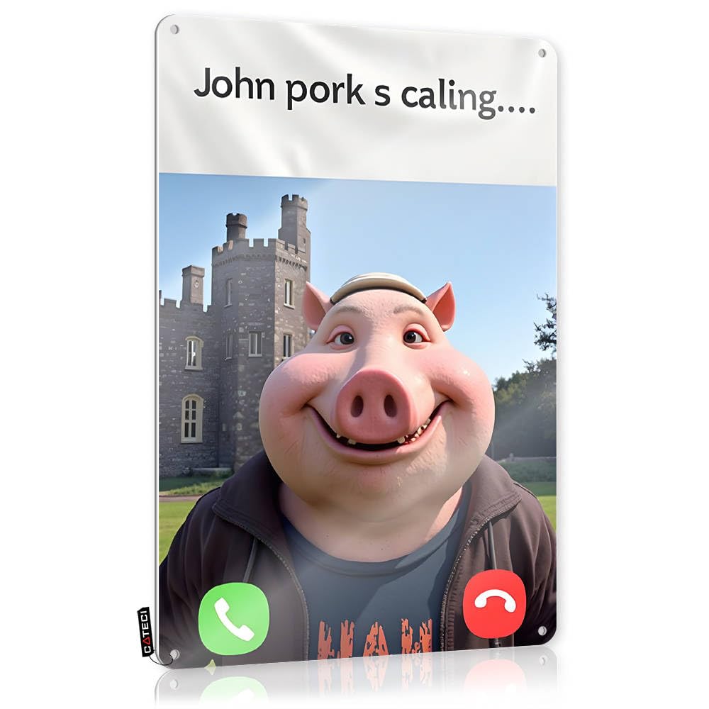 Fzfn Colour Farmhouse Signs House Stuff Wall Decor | John Pork's Call: A Surprise From The Castle! Sleek For Garage Home(30X40cm)