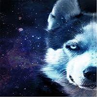 Puzzle 1000 Pièces - Scène Grand-parents Et Chien Sous Les étoiles - 50x70cm - Pour Adultes, Difficile Et Décoratif - 9