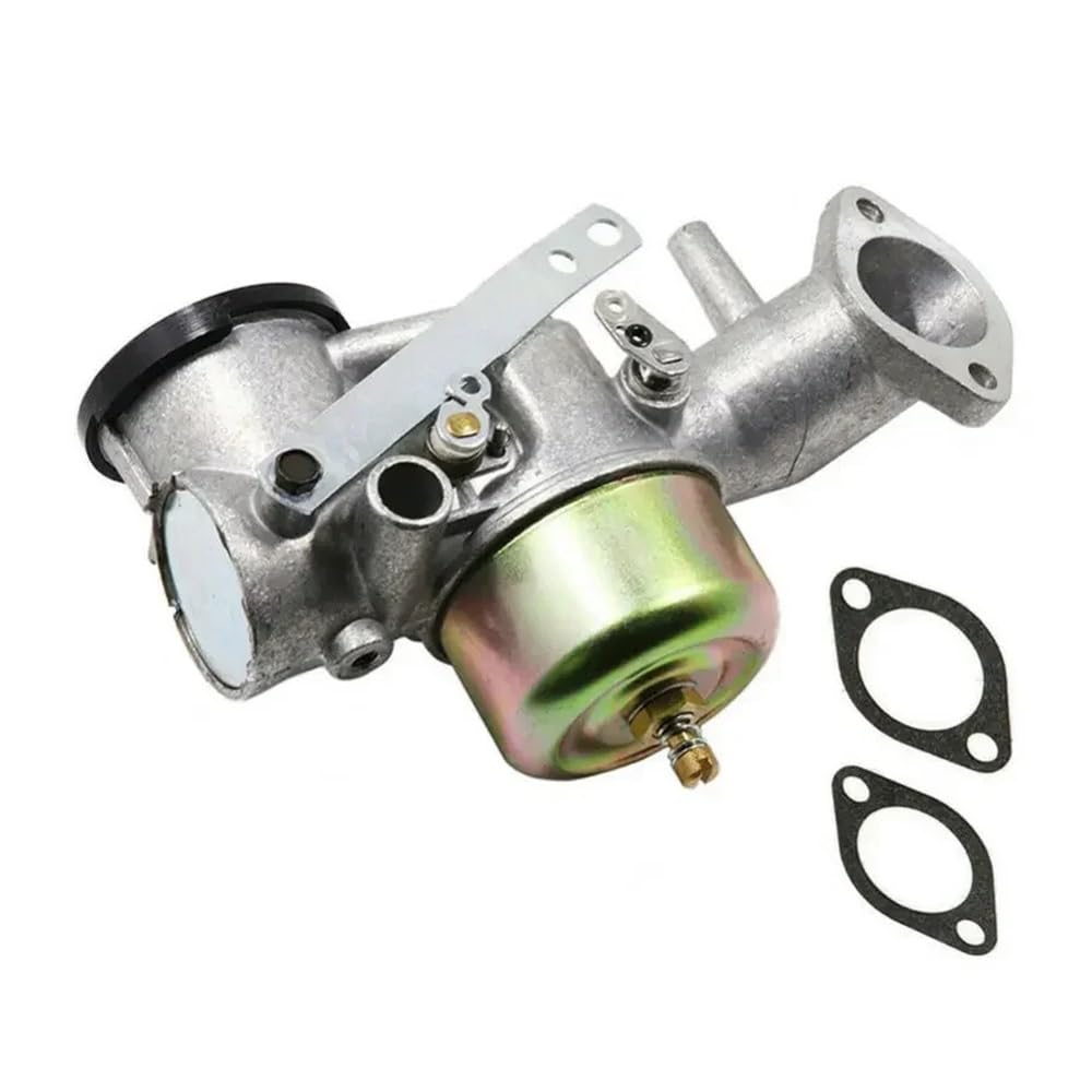 Carburateur moteur 490499 résout les pannes de démarrage kit rechange 12 pièces