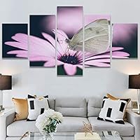 SIGNWIN 5 Panel Canvas Wall Art Birds Butterfly Closeup Colorful Contemporary Home Office Modern Art Multicolor Photography for Home Decorations Ready to Hang - 60