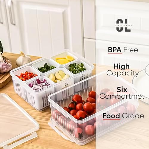 Image of 6 Grid Fridge Storage Box with Lid | 250 ML Each Compartment | Plastic Freezer Safe Vegetable & Food Storage Container | Refrigerator Organizer Tray for Veggies, Snacks & Leftovers