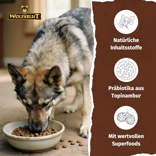 WOLFSBLUT – Wild Duck & Turkey Adult | Trockenfutter mit natürlichen Zutaten und Superfoods für ausgewachsene Hunde. Getreidefreies Alleinfutter ohne Zusatzstoffe im Beutel | 12,5kg Ente & Truthahn