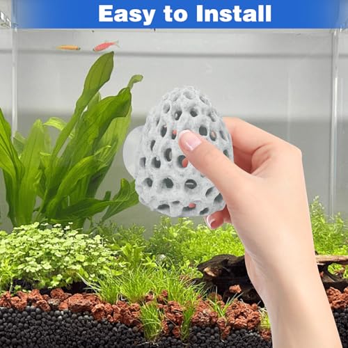 Image of HINGTAI Shrimp Dome Hide Betta Habitat Fish Tank Tunnel with Suction Cup Aquarium Fish Cave Hideout Ornament Accessories for Shrimp Guppy Hiding Resting White