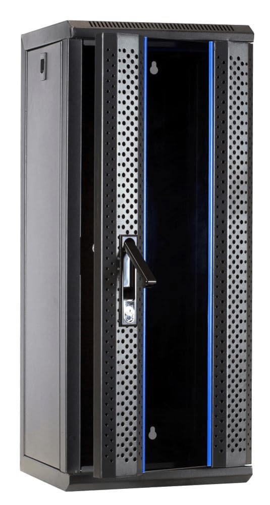 Baie de Serveur de 10 Pouces 15U avec Porte en Verre 312x310x752mm (LXPXH) - Noir - Verrouillable - pour la Maison et Le Bureau - Construction Robuste
