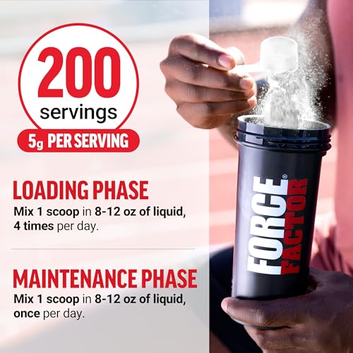 Image of Force Factor Creatine Monohydrate Powder, 5g Micronized Dose to Support Muscle Growth, Strength, Recovery, Cognitive Health & Memory, Unflavored, 200 Servings