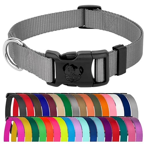 Country Brook Petz 25+ Hundehalsband aus Nylon, mit Schnellverschluss-Schnalle, robuste Beschläge, hergestellt in den USA (Medium, 1,9 cm breit, silberfarben)