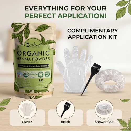 Image of ReGrows 100% Certified ORGANIC HENNA powder | Dermatologically and Clinically Lab Tested Henna Powder | USDA ONECERT Certified | GI Tagged Henna directly from farm Hair Color and Hair Care for Men and Women | Henna with Brush, Gloves, Shower cap | Mehndi powder | (227gm)
