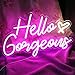 Hello Gorgeous Neon Sign Hello Beautiful Pink LED Neon Lights for Home Wedding Birthday Backdrop Bacelorette Party Wth Dimmable Switch(5V,16.5X10.6inches)