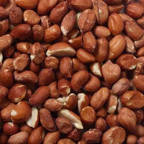 Wildlife Kingdom Wild Bird Peanuts Squirrels Nuts Feeding Birds Food