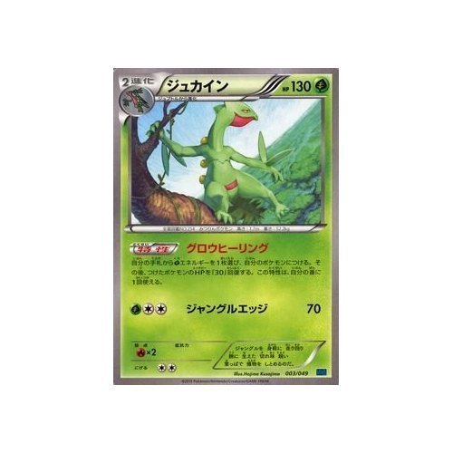 Amazon.co.jp: ポケモンカードXY ジュカイン/MマスターデッキビルドBOX