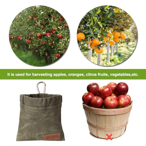 WeddHuis Freihändige Futterbeutel Hundetraining mit Karabiner, Freihändige Hundeleckerlitasche mit Automatischem Verschluss, Welpen Leckerlitasche für Hundetraining (Grün)