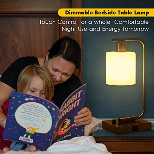 Hamilyeah Gold Table Lamps For Bedroom Set Of 2, Steless Dimmable Desk Lamps For Home Office, Industrial Bedside Lamp With Usb Charging Port,Modern Nightstand Lamp With Frosted Glass,E26 Bulb Included #TOP4