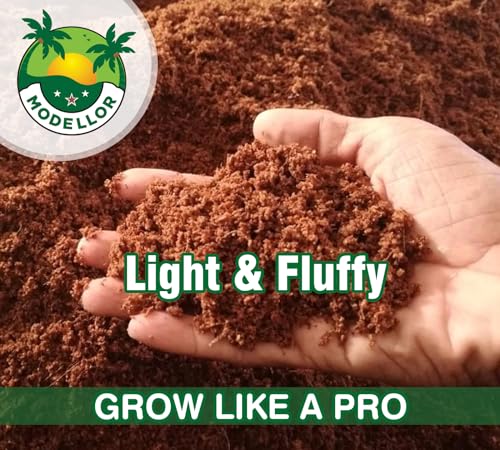 Image of MODELLOR Coco Coir Bricks, 4-Pack (5 lb) - Premium Super Washed, Yields 9 Gallons (36 Quarts), Organic, pH-Balanced Growing Medium for Seed Starting & Gardening