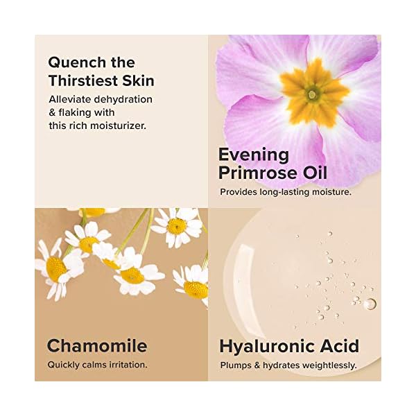 Paula's Choice SKIN RECOVERY Replenishing Facial Moisturizer Cream with Hyaluronic Acid, Soothes Redness & Sensitive Skin Prone to Rosacea & Eczema, Paraben-Free & Fragrance-Free, 2 Fl Oz