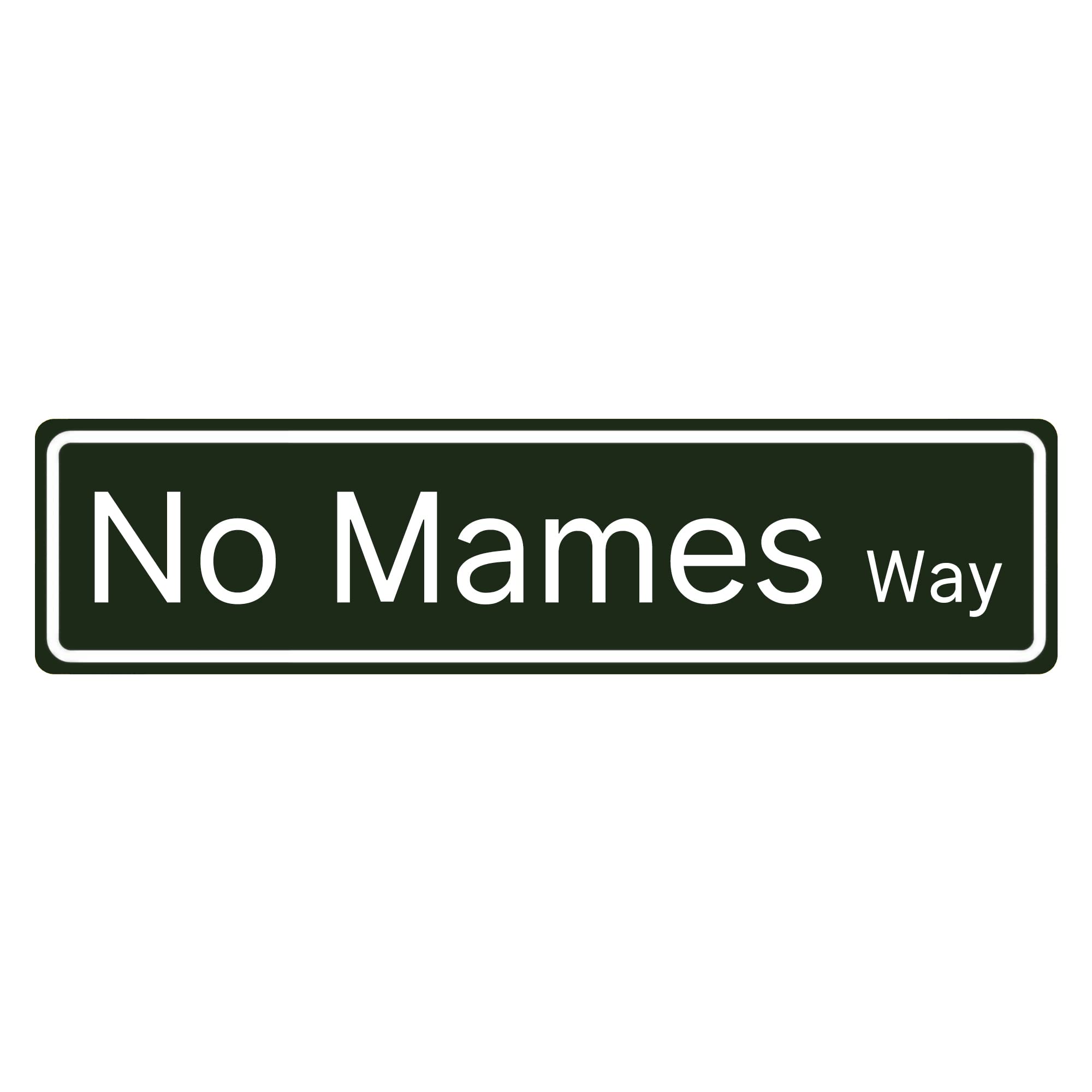 No Mames Way Metal Plaque SAODOMA 16 X 4 Inch Road Street Sign Mexican Rd Ave Funny Man Cave Cafe Bar Pub Beer Wall Decor