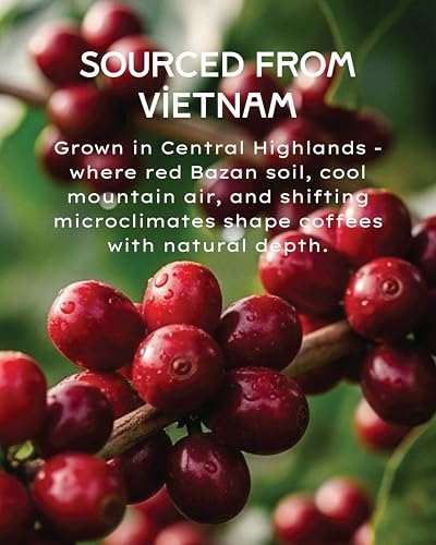 DAKAO COFFEE - Vietnam Cafe Reserve Blend Coffee miniatura 4