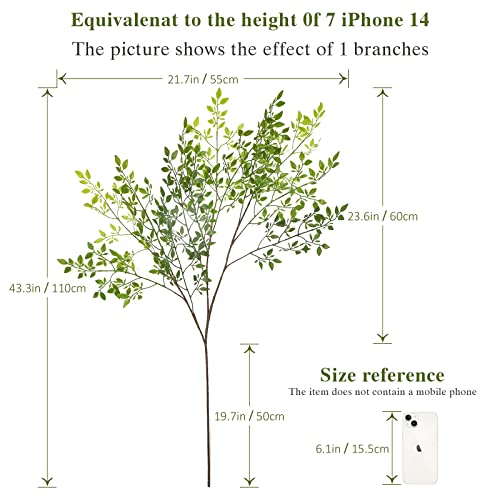 Consejos y comparativas para Comprar Plantas bambú gigante Top cinco. 15 Imagen adicional