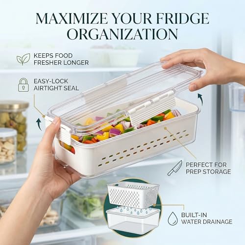 Image of Divided Fridge Storage Boxes With Serving Veggie Tray with Lid and Handle, Fridge Organizer with Removable Compartment, Fridge Storage Containers (2 in 1 Fridge Container)