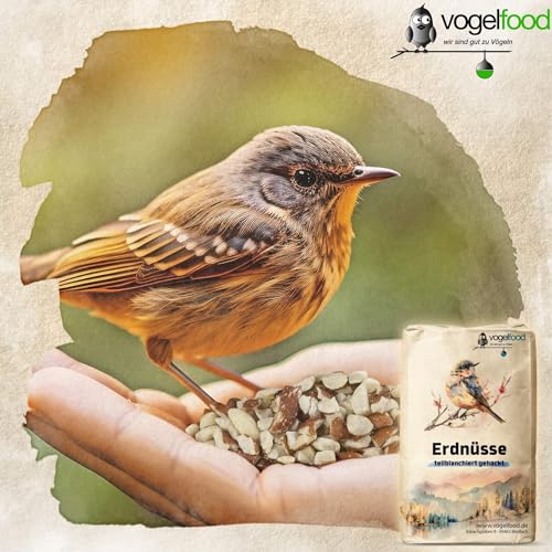 Erdnüsse teilblanchiert gehackt 10 kg geviertelt Vogelfutter Igelfutter