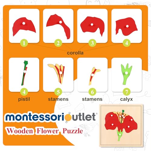 Image of MONTESSORI OUTLET Nature Materials Flower Puzzle Early Preschool Learning Toys for 3-12 Year Old Kids and Toddler